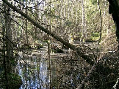 Photo 1038231-1231