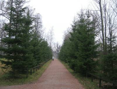 Photo 1038256-1198